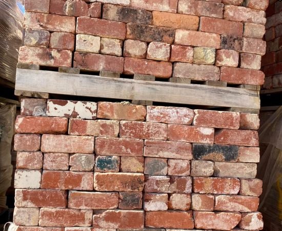 WhatsApp Image 2026-03-30 at 12.24.02 PM